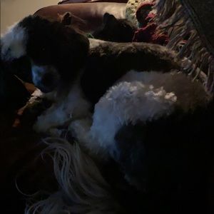 Meet your Posher, Ron